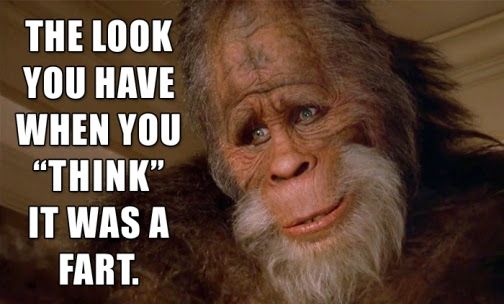 It wasn't a fart Harry. Harry and the Hendersons 80s movie meme