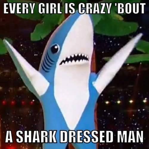 Shark Dressed Man ZZ Top parody.