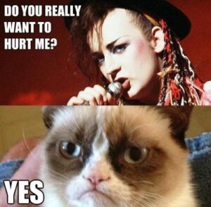 Angry cat does not approve of Culture Club hits.