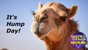 It's hump day.