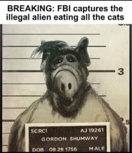 ALF has been spotted eating cats again.